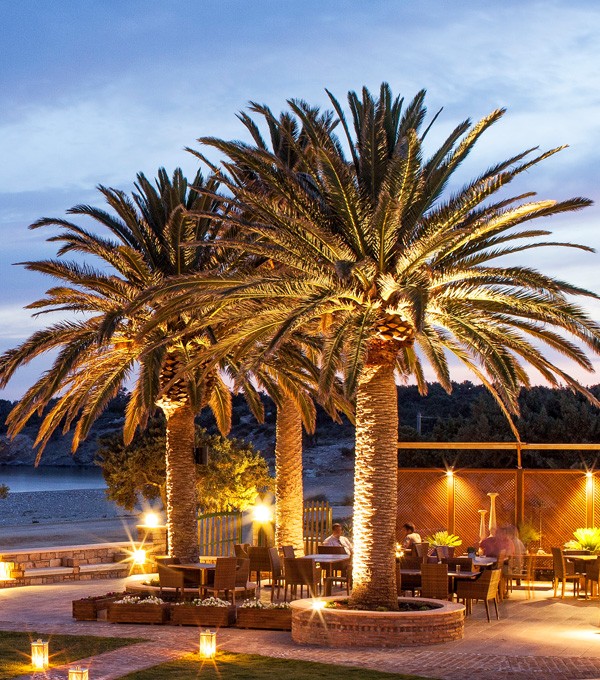 AVGI RESTAURANT